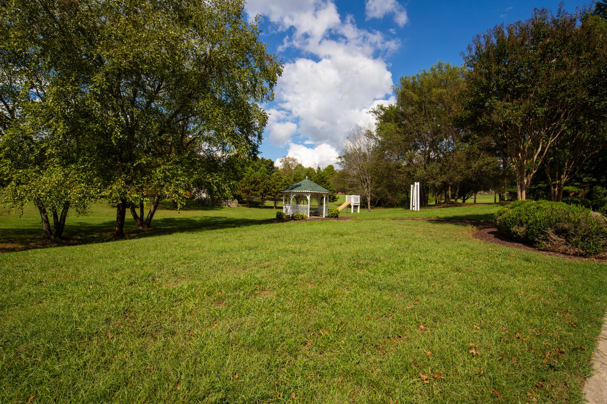 113 Chester Stevens Road Franklin, TN 37067 - Photo 31 of 31 a view of a park with large trees