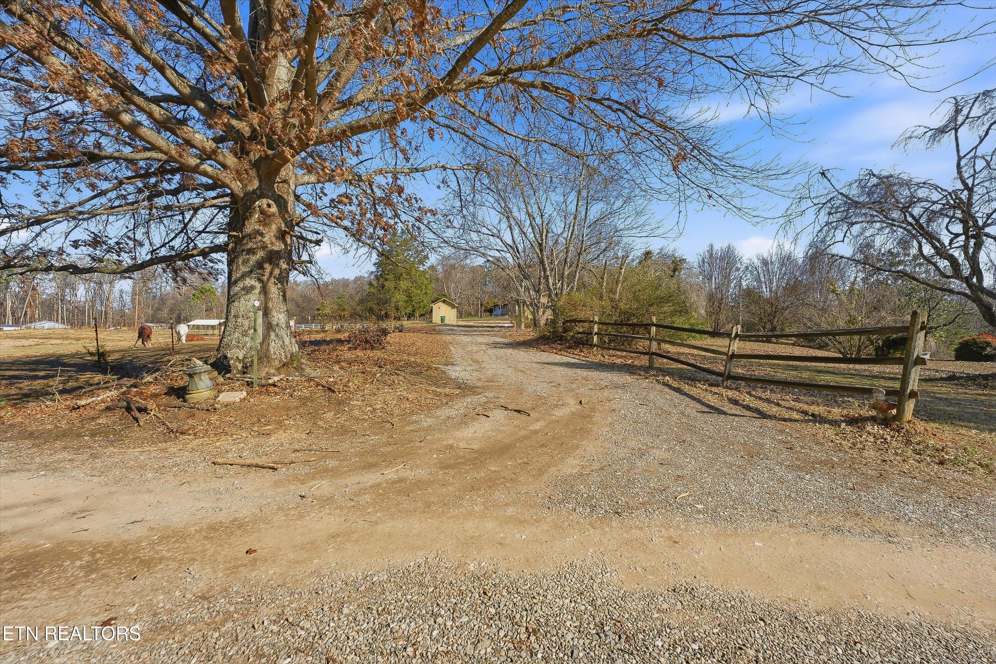5413 Pryor Road Maryville, TN 37804 - Photo 33 of 33 a view of road and trees