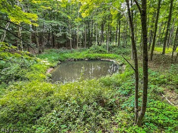 7047 Bayard Road Minerva, OH 44657 - Photo 12 of 20 Gallery Image 12