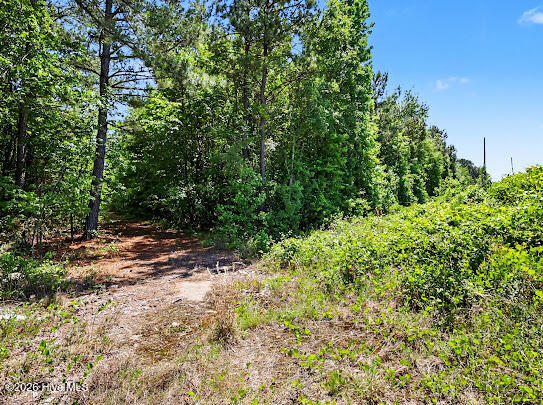 4.47-ac Purdy Matthews Road Wade, NC 28395 - Photo 24 of 25