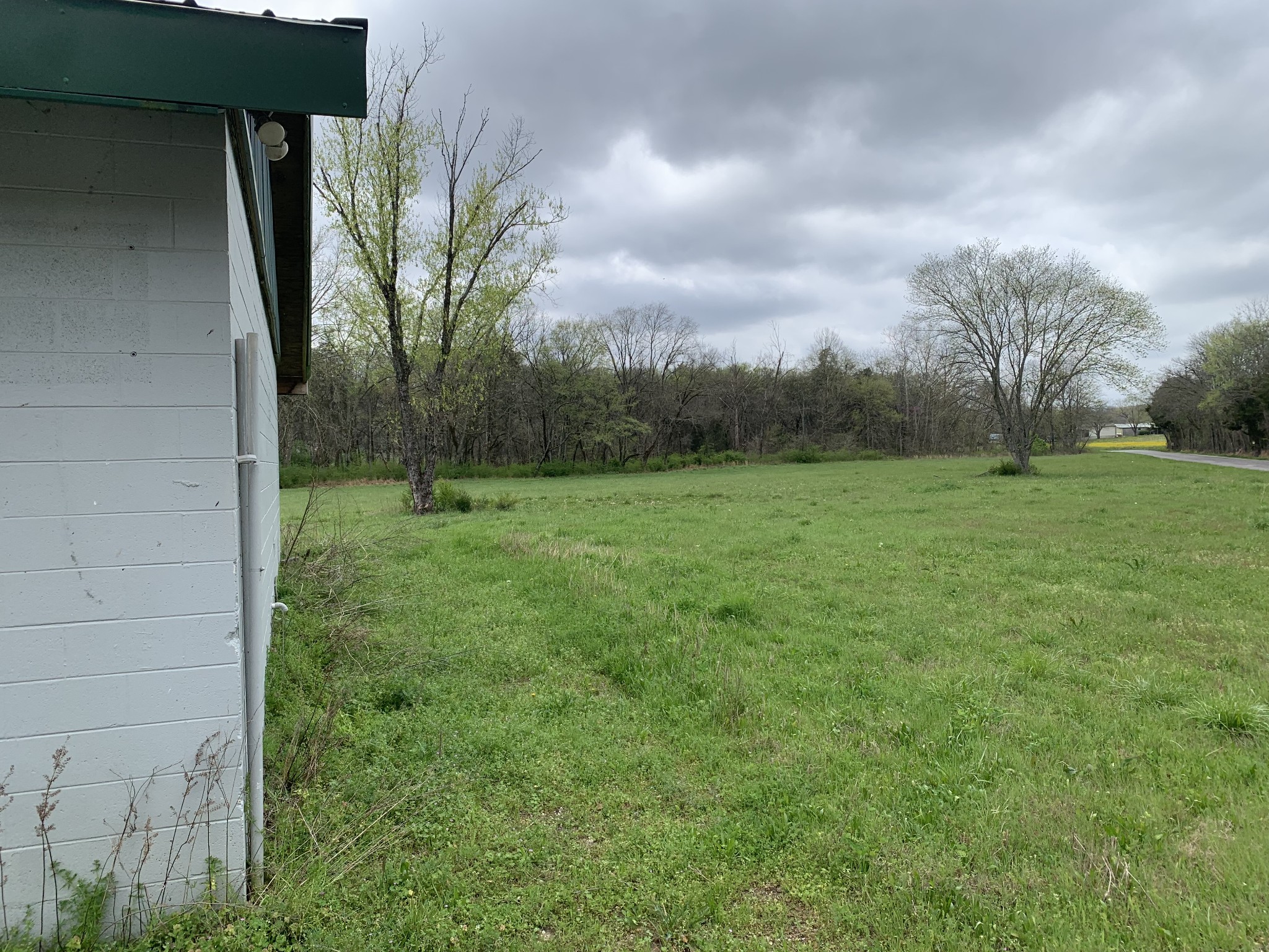 137 Factory Creek Road Ethridge, TN 38456 - Photo 16 of 21 a view of a field with a tree in the background