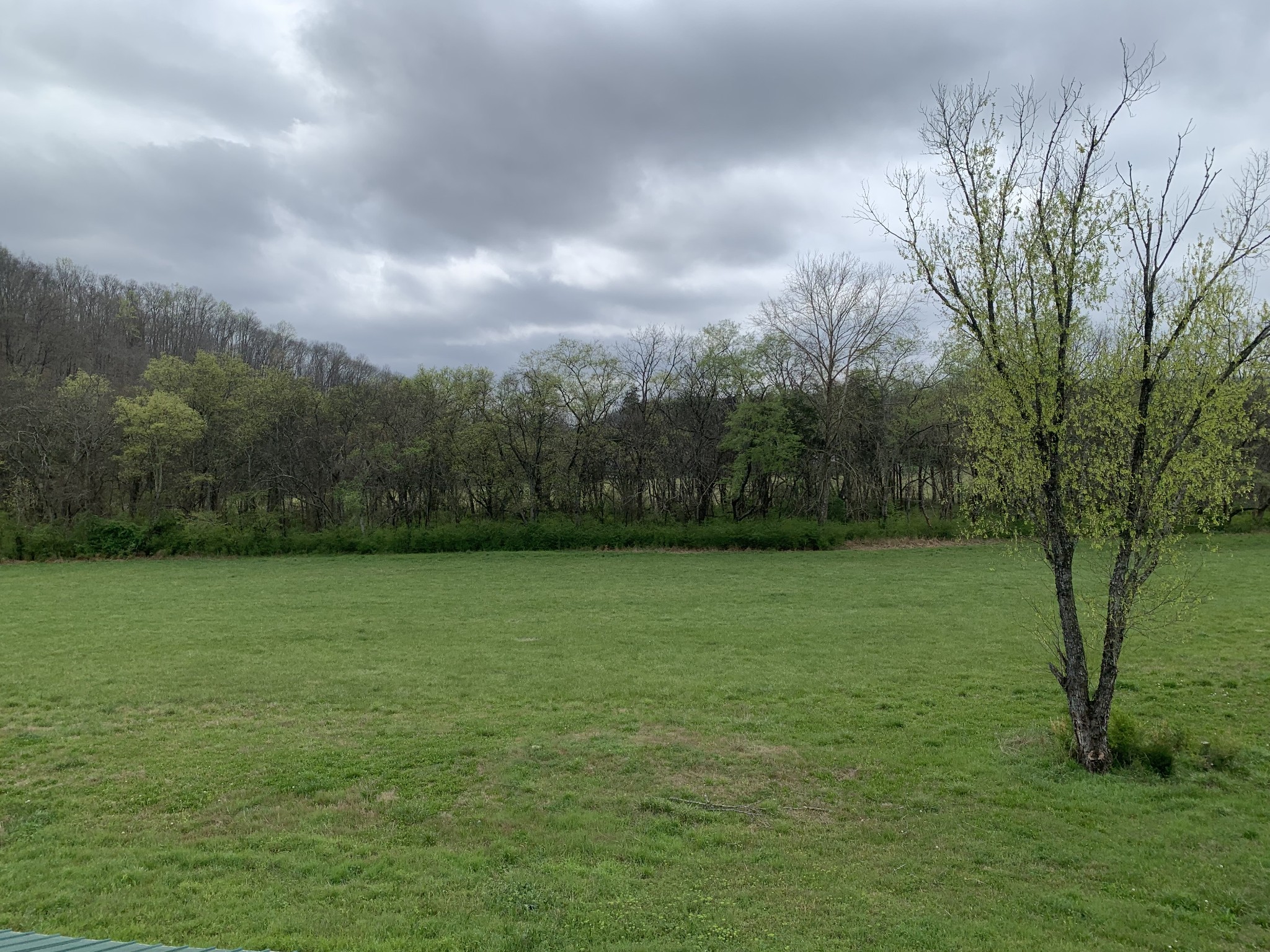 137 Factory Creek Road Ethridge, TN 38456 - Photo 7 of 21 a view of a field of grass and trees