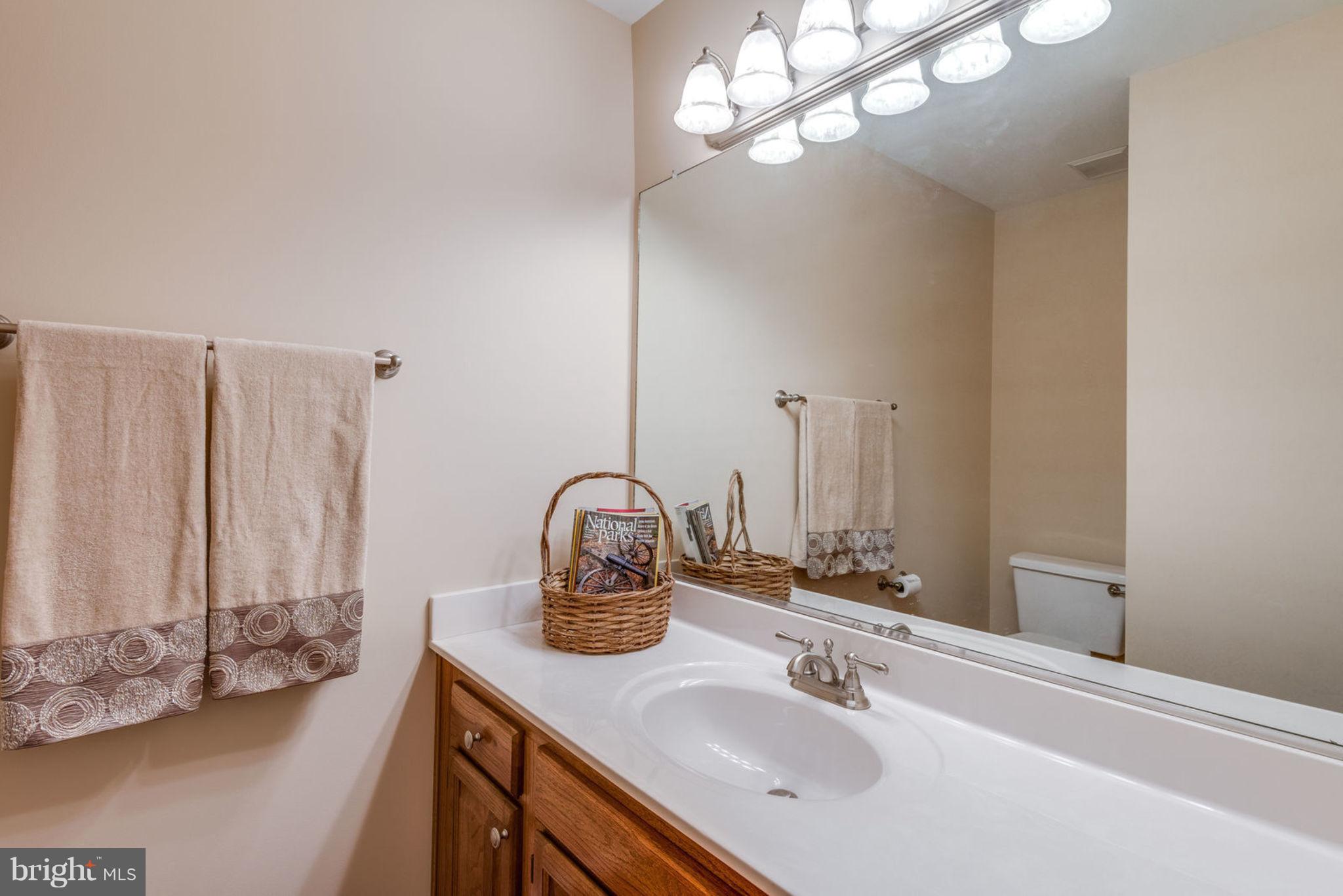 21288 Mirror Ridge Place Sterling, VA 20164 - Photo 9 of 28 Oversize Powder room on Main