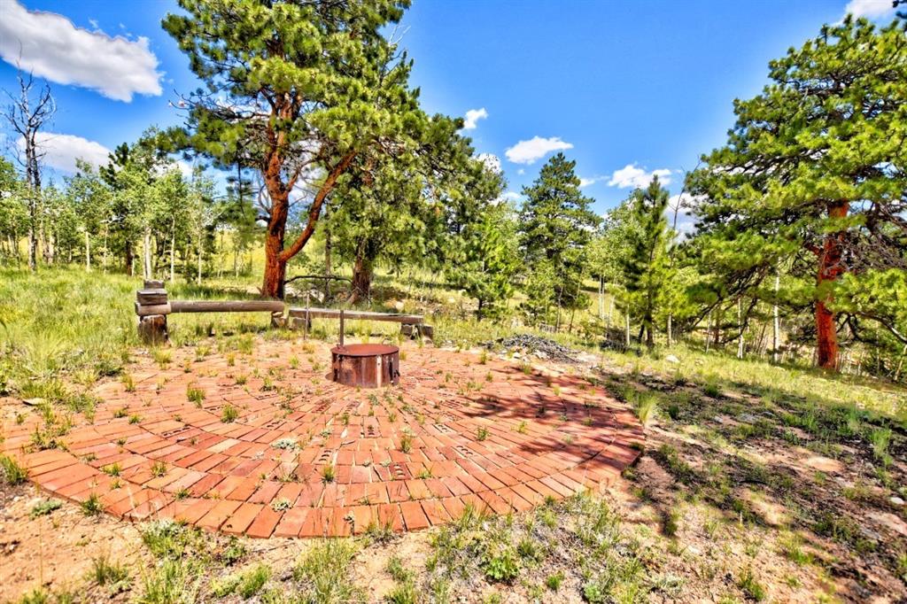 8614 Remington Road Como, CO 80432 - Photo 14 of 35 a view of small yard