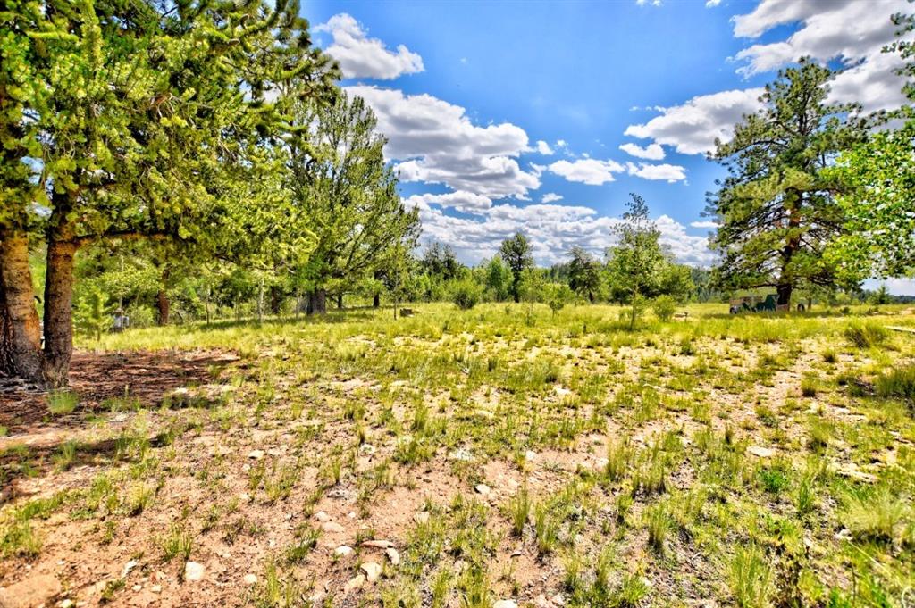 8614 Remington Road Como, CO 80432 - Photo 15 of 35 a view of ocean