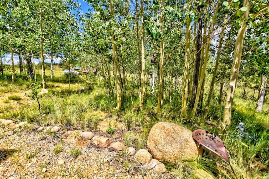 8614 Remington Road Como, CO 80432 - Photo 16 of 35 a bathroom with a small yard and tree in the background