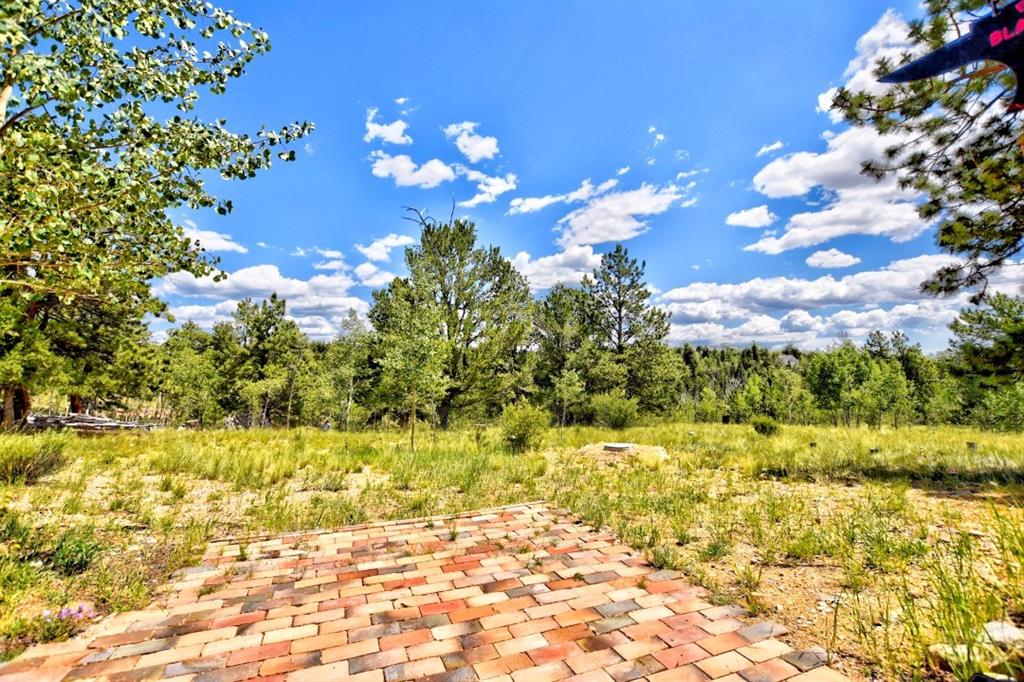 8614 Remington Road Como, CO 80432 - Photo 6 of 35