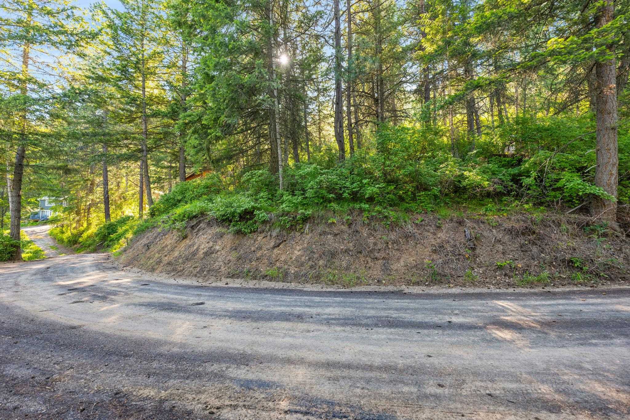 4103 Tamarack Bay Road Loon Lake, WA 99148 - Photo 3 of 15 Gallery Image 3