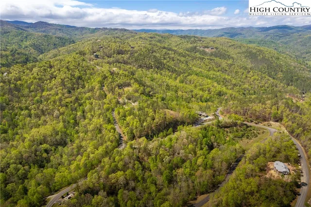 a view of a yard with plants and tree