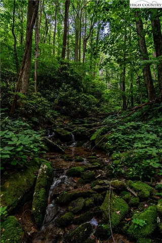 a view of a green field