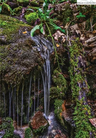 $80,000 | 1.58-acres 1.58-acres Lady's Mantle (er9) Lane, Ferguson, NC 28624