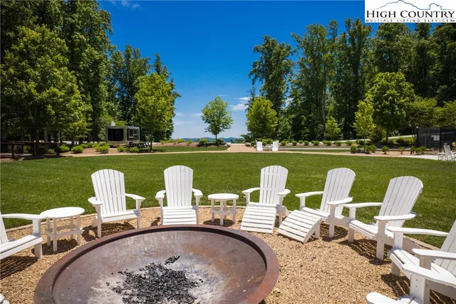 a view of a trees and yard