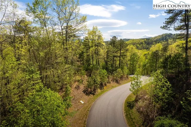 a view of a pathway both side of yard