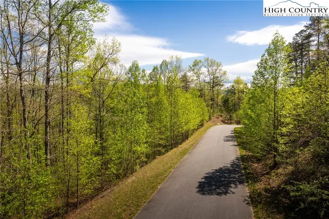 a view of a yard with plants and brick wall