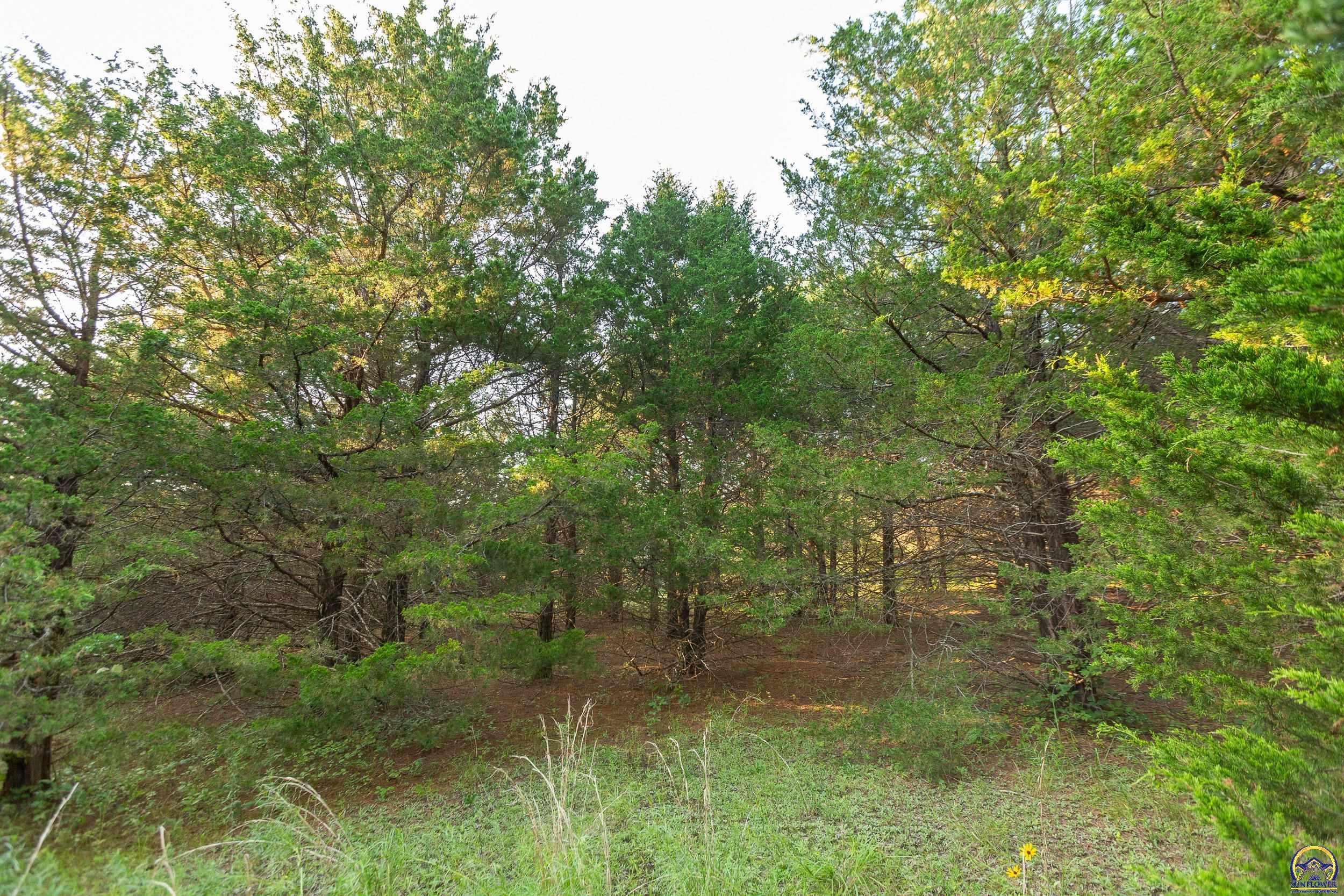 0 154 Road Mayetta, KS 66509 - Photo 56 of 65