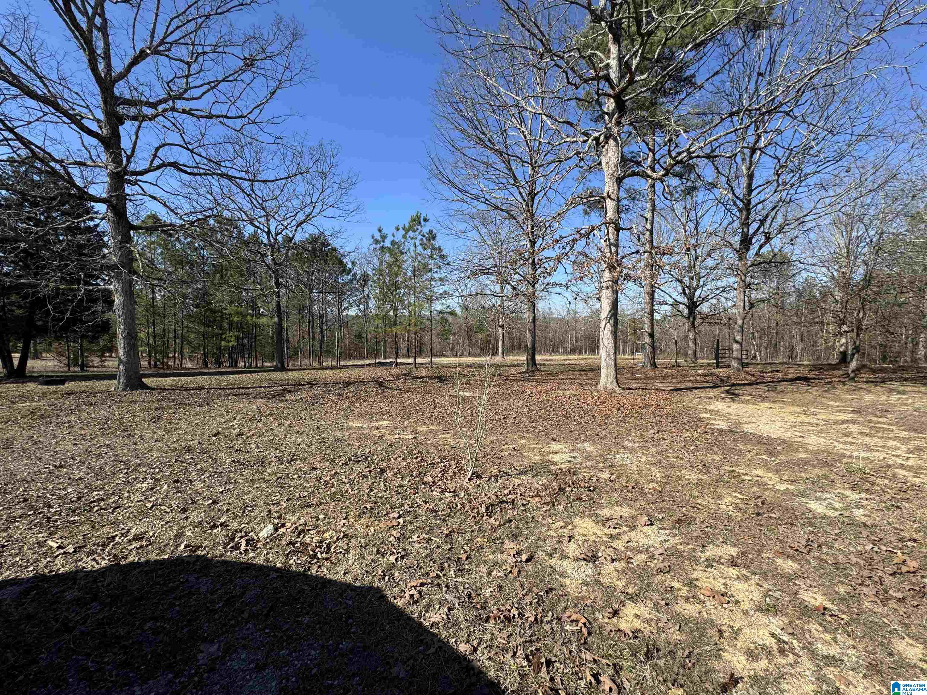 737 Cates Rd. Gadsden, AL 35901 - Photo 59 of 68