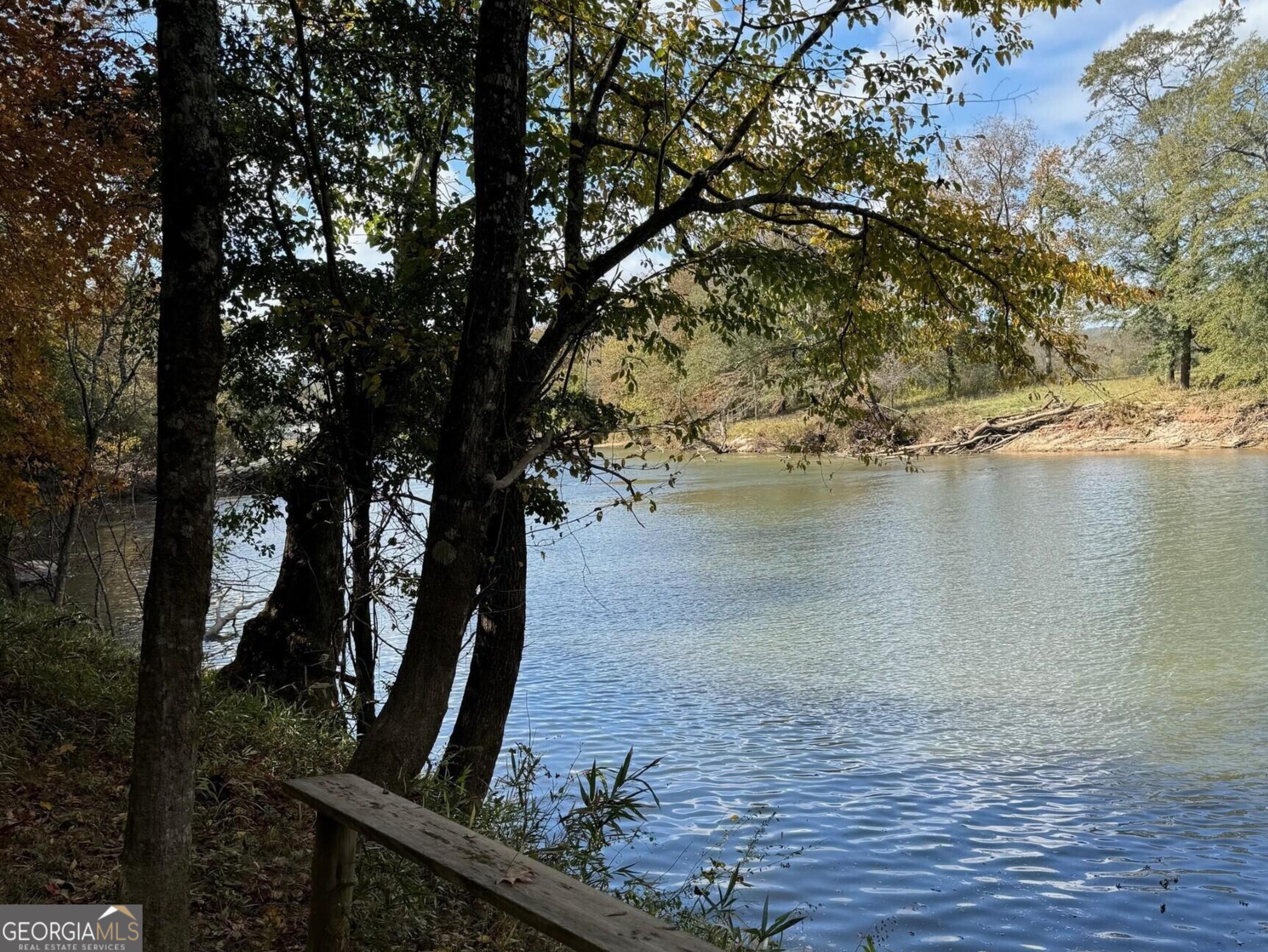 9.09-acre Flint River Road Molena, GA 30258 - Photo 11 of 11