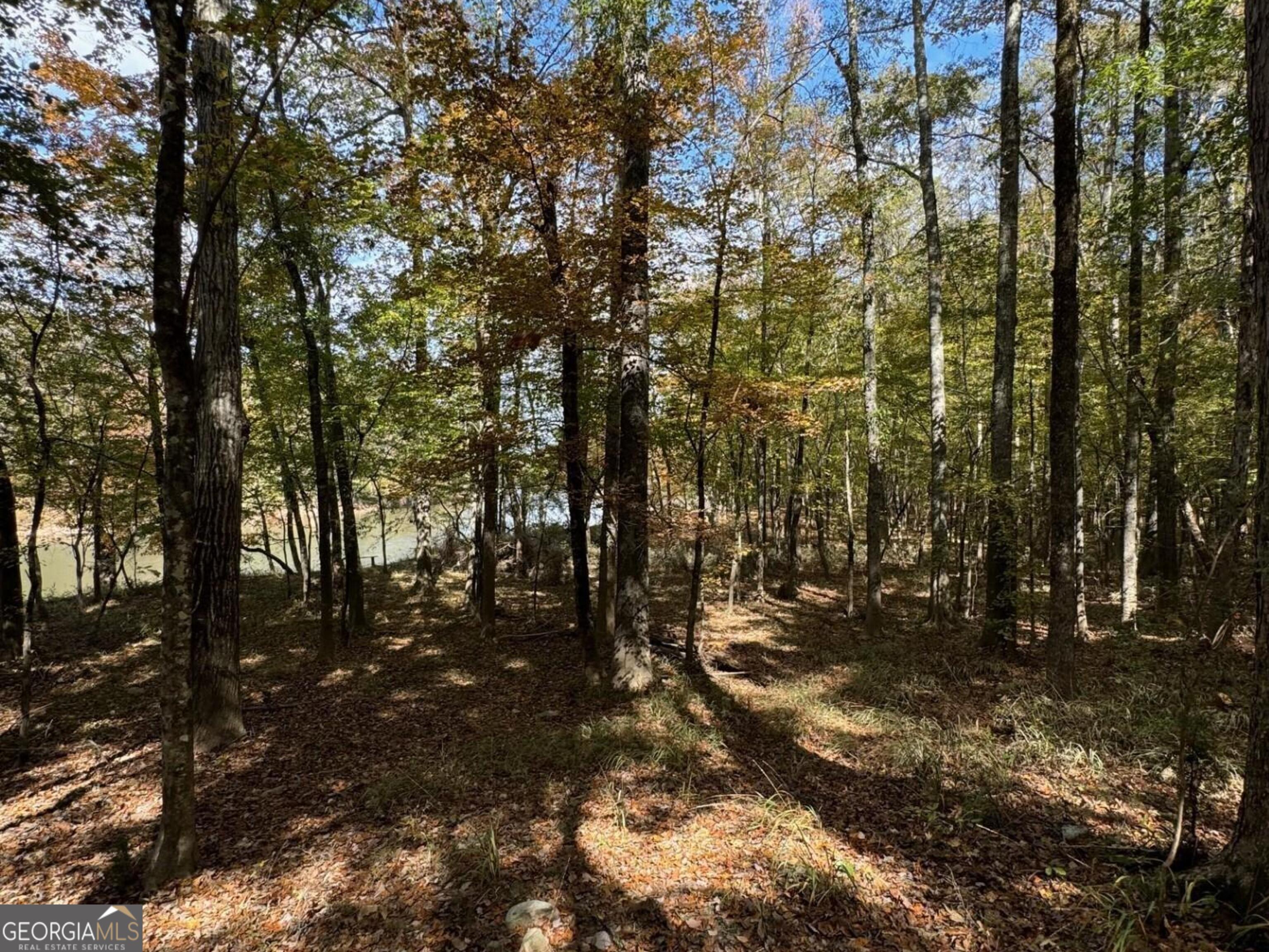 9.09-acre Flint River Road Molena, GA 30258 - Photo 2 of 11