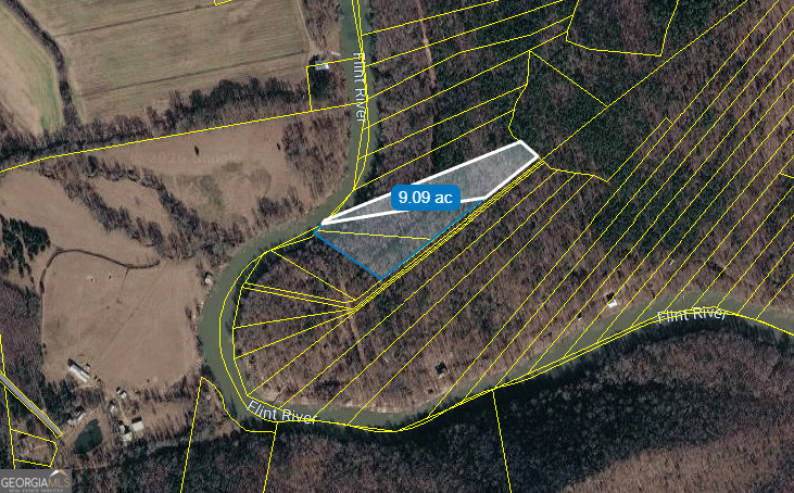 9.09-acre Flint River Road Molena, GA 30258 - Photo 4 of 11