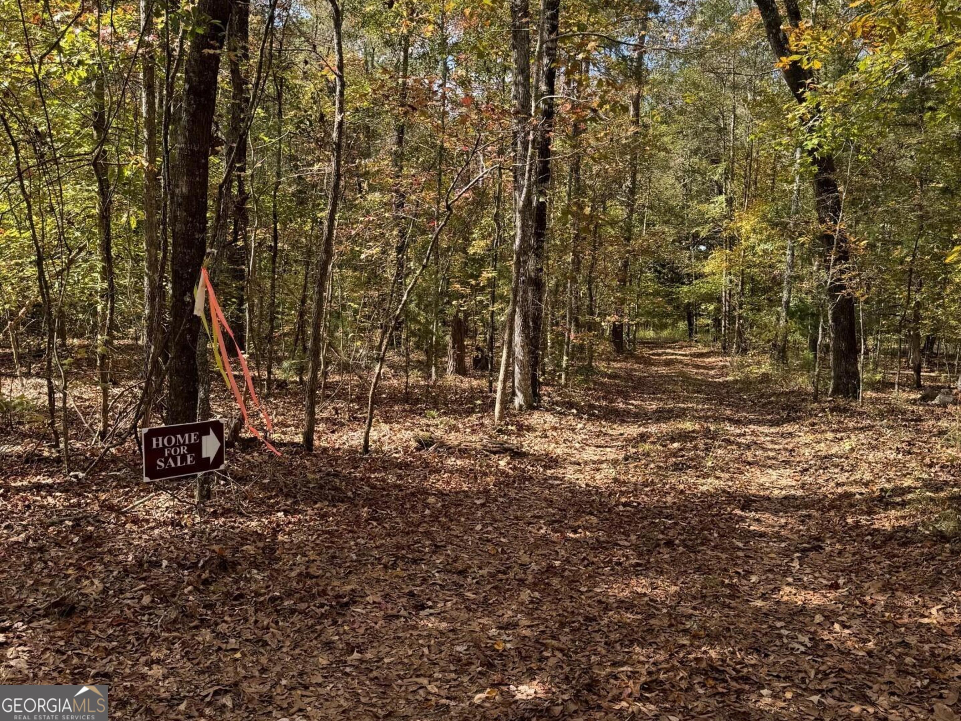 9.09-acre Flint River Road Molena, GA 30258 - Photo 8 of 11