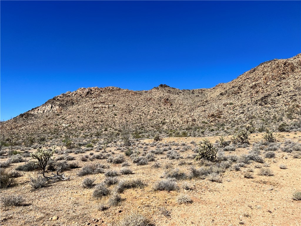 0 Roy Rogers Road Yucca, AZ 86438 - Photo 1 of 17 View