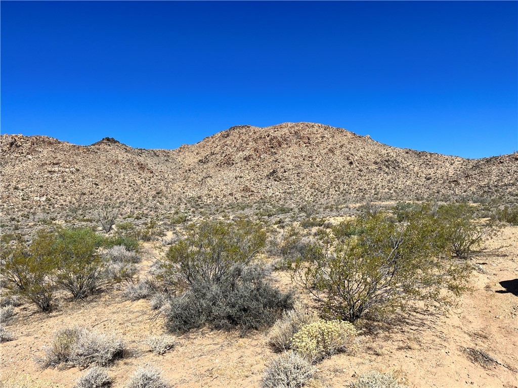 0 Roy Rogers Road Yucca, AZ 86438 - Photo 5 of 17 View