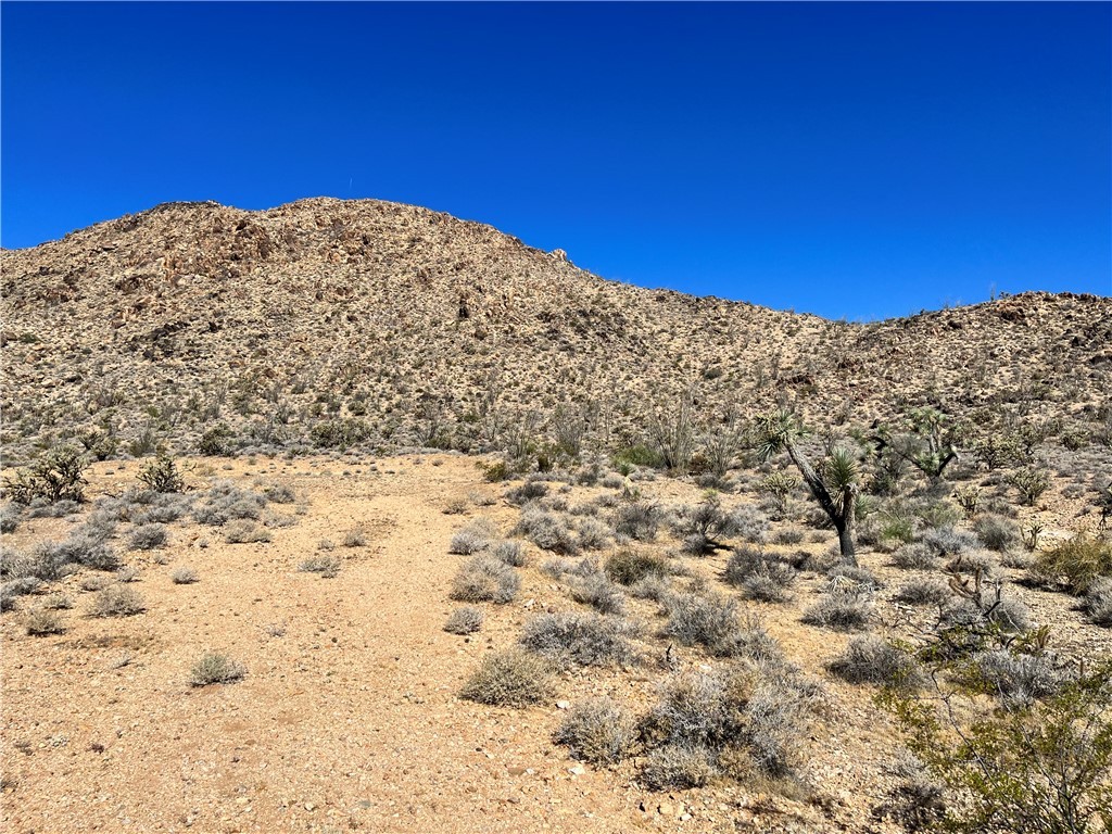 0 Roy Rogers Road Yucca, AZ 86438 - Photo 10 of 17 View
