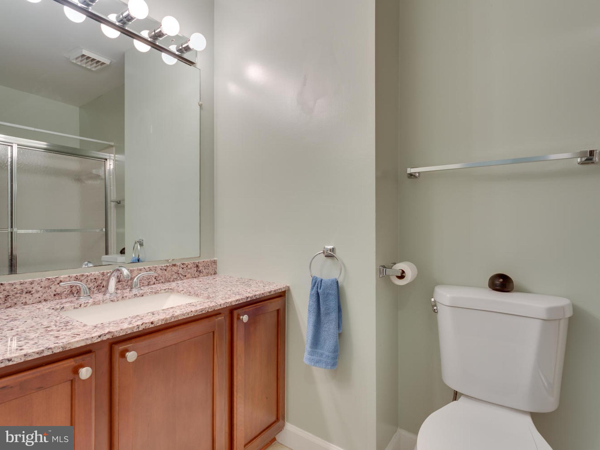 6421 English Ivy Way Springfield, VA 22152 - Photo 12 of 27 Bath