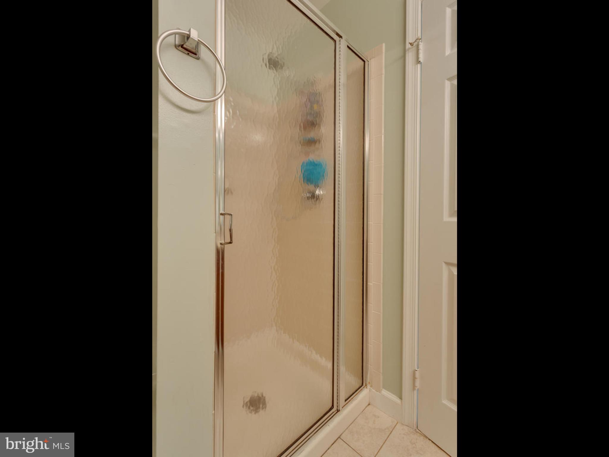 6421 English Ivy Way Springfield, VA 22152 - Photo 15 of 27 Bath (Master)