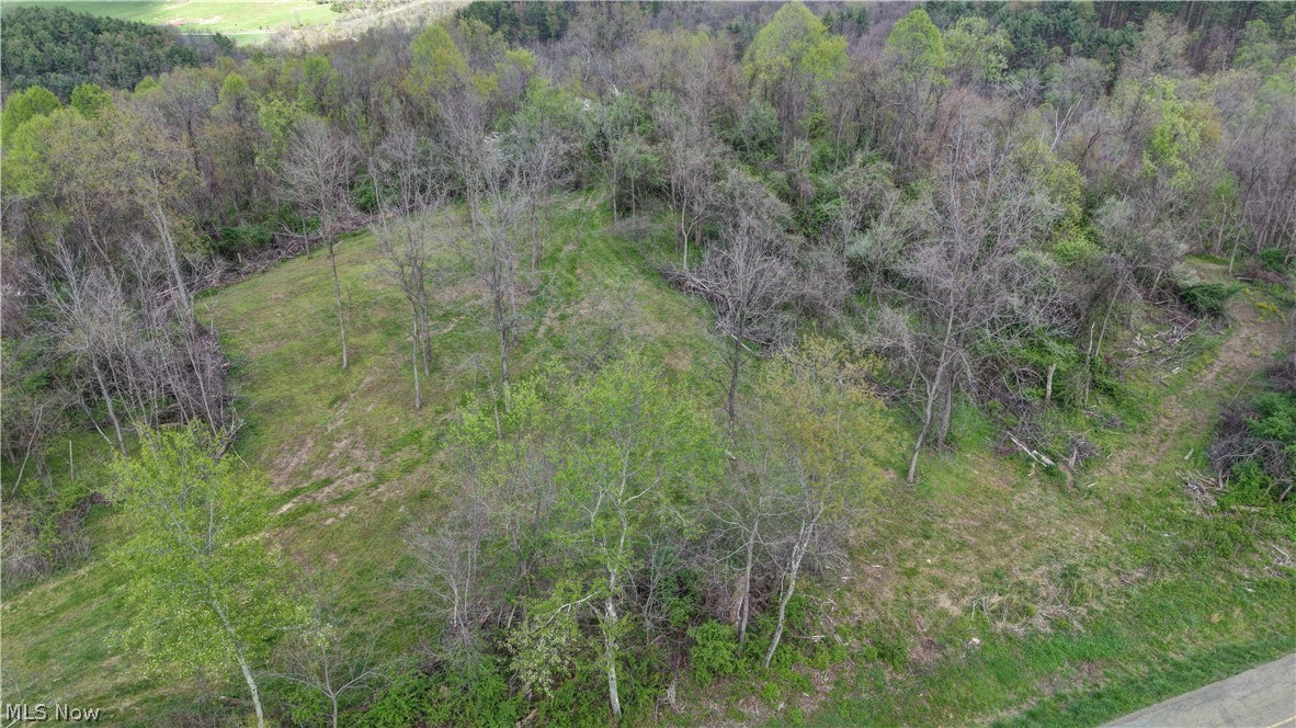 Deersville Ridge Road Cadiz, OH 43907 - Photo 10 of 41