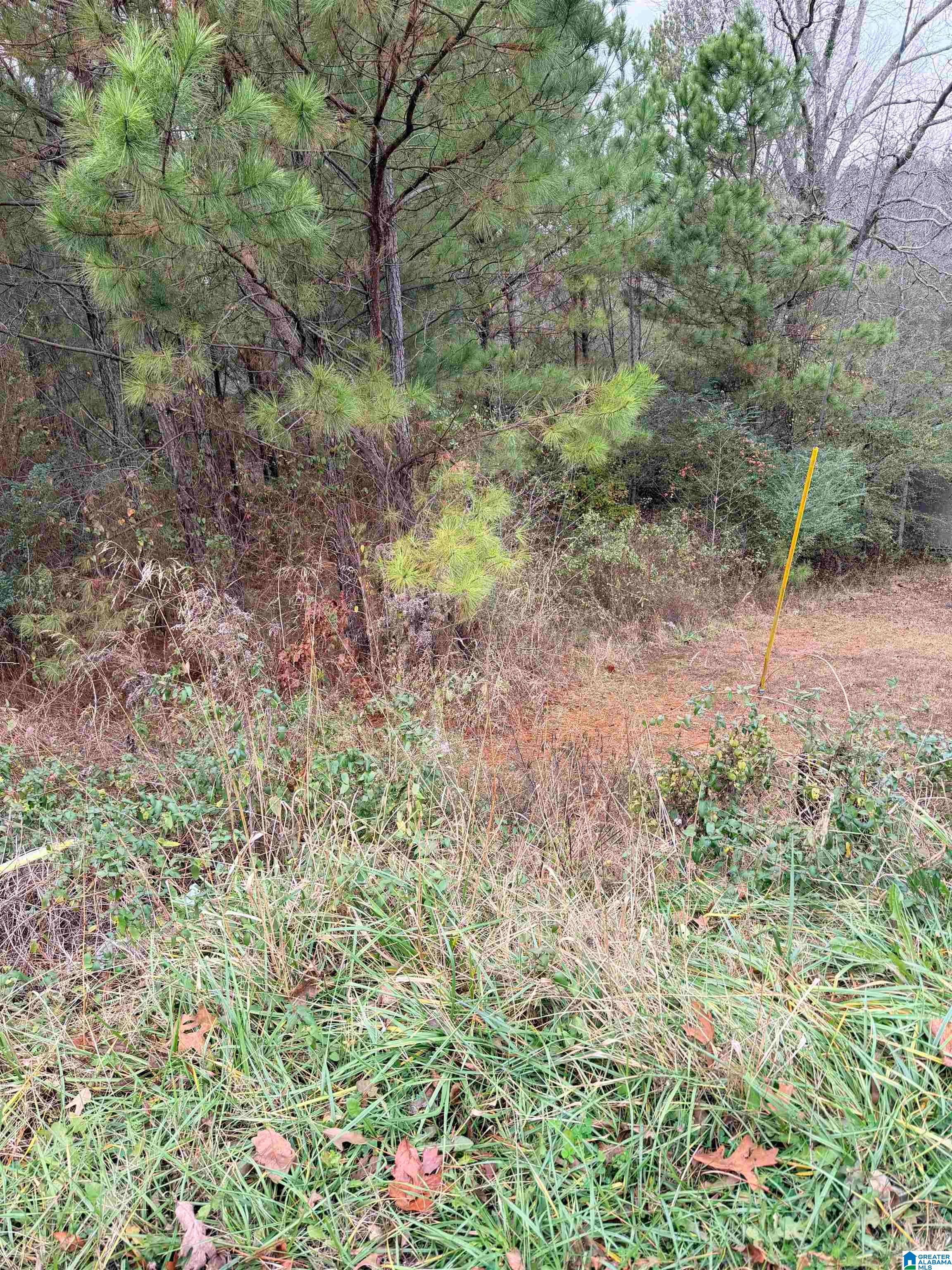 0 Armstrong Loop Hayden, AL 35079 - Photo 2 of 4