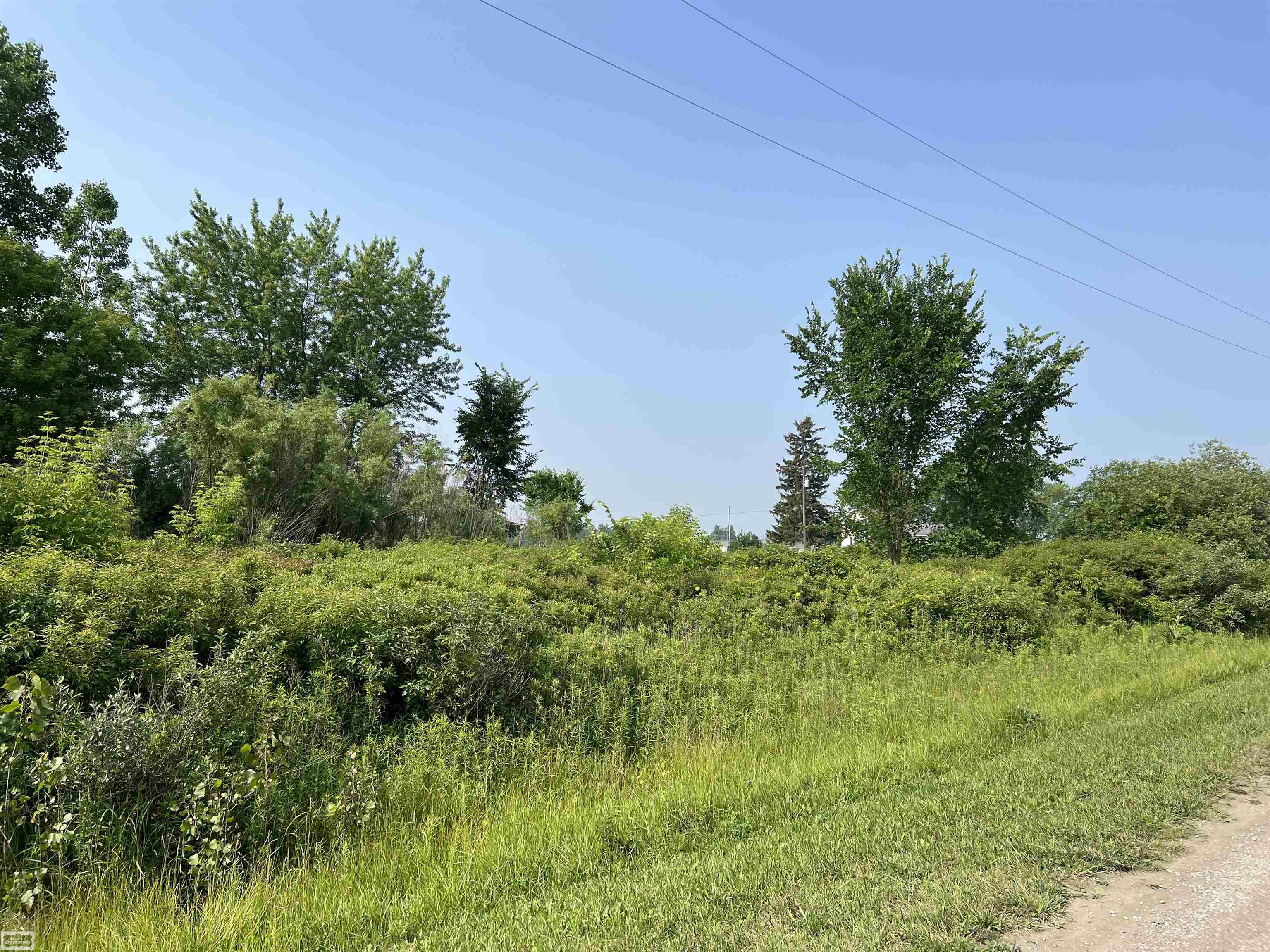 5350 Capac Road Capac, MI 48014 - Photo 6 of 11 Gallery Image 6