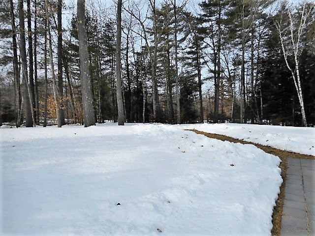 14 Harvest Road Chichester, NH 03258 - Photo 28 of 33 Gallery Image 28