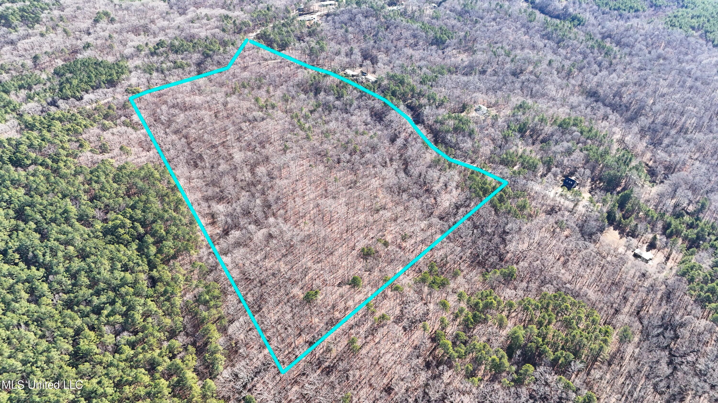 0 Tall Pines Road Ashland, MS 38603 - Photo 3 of 14 Ashland_-10