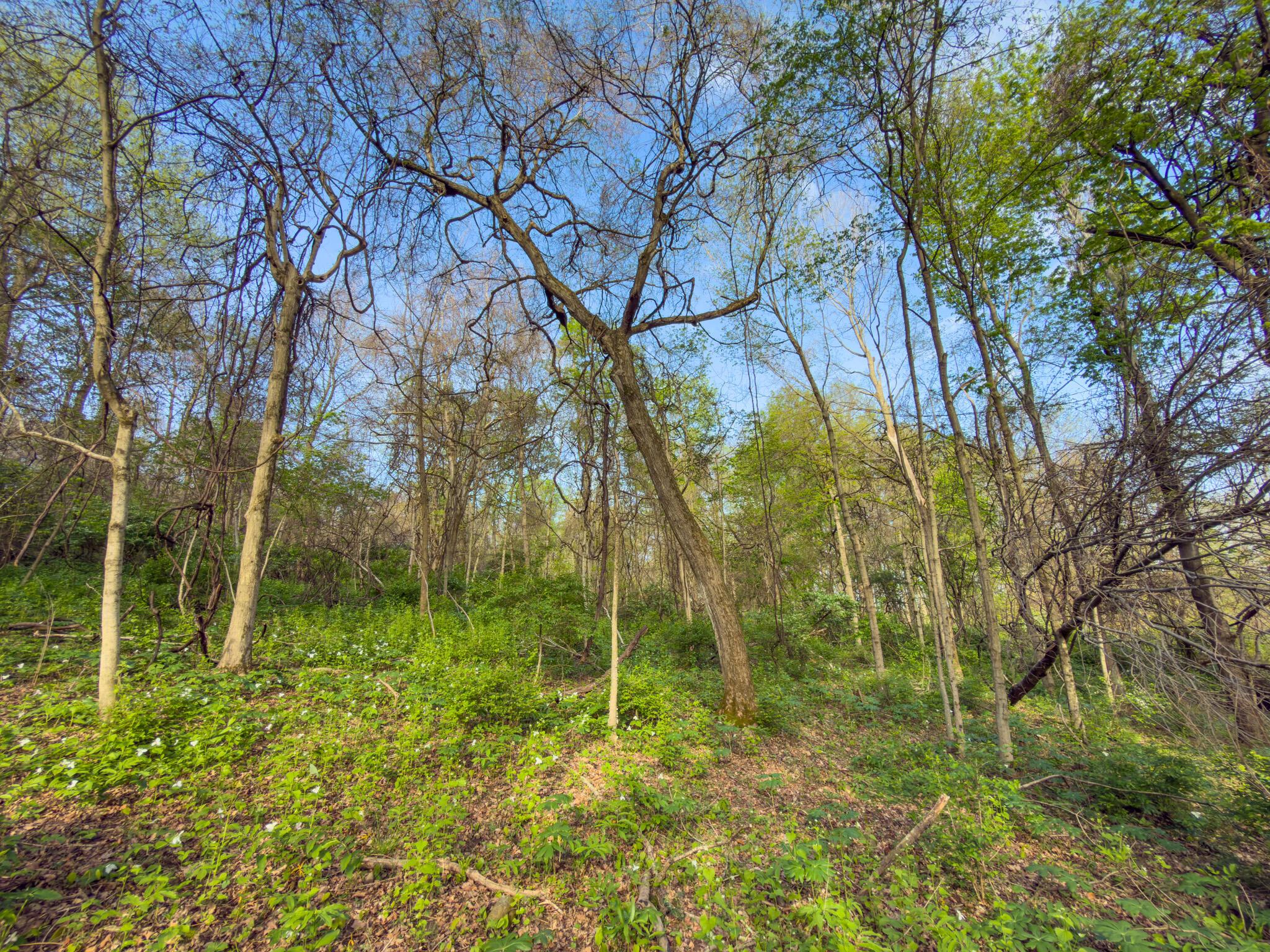 9874 Cincinnati-Zanesville Road Southwest Amanda, OH 43102 - Photo 24 of 50 cinci-zane rd sw-24