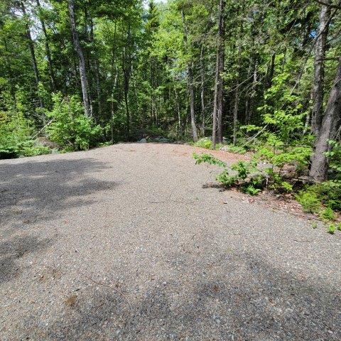 T4 Wadleigh Pond Road Millinocket, ME 04462 - Photo 18 of 38 Driveway