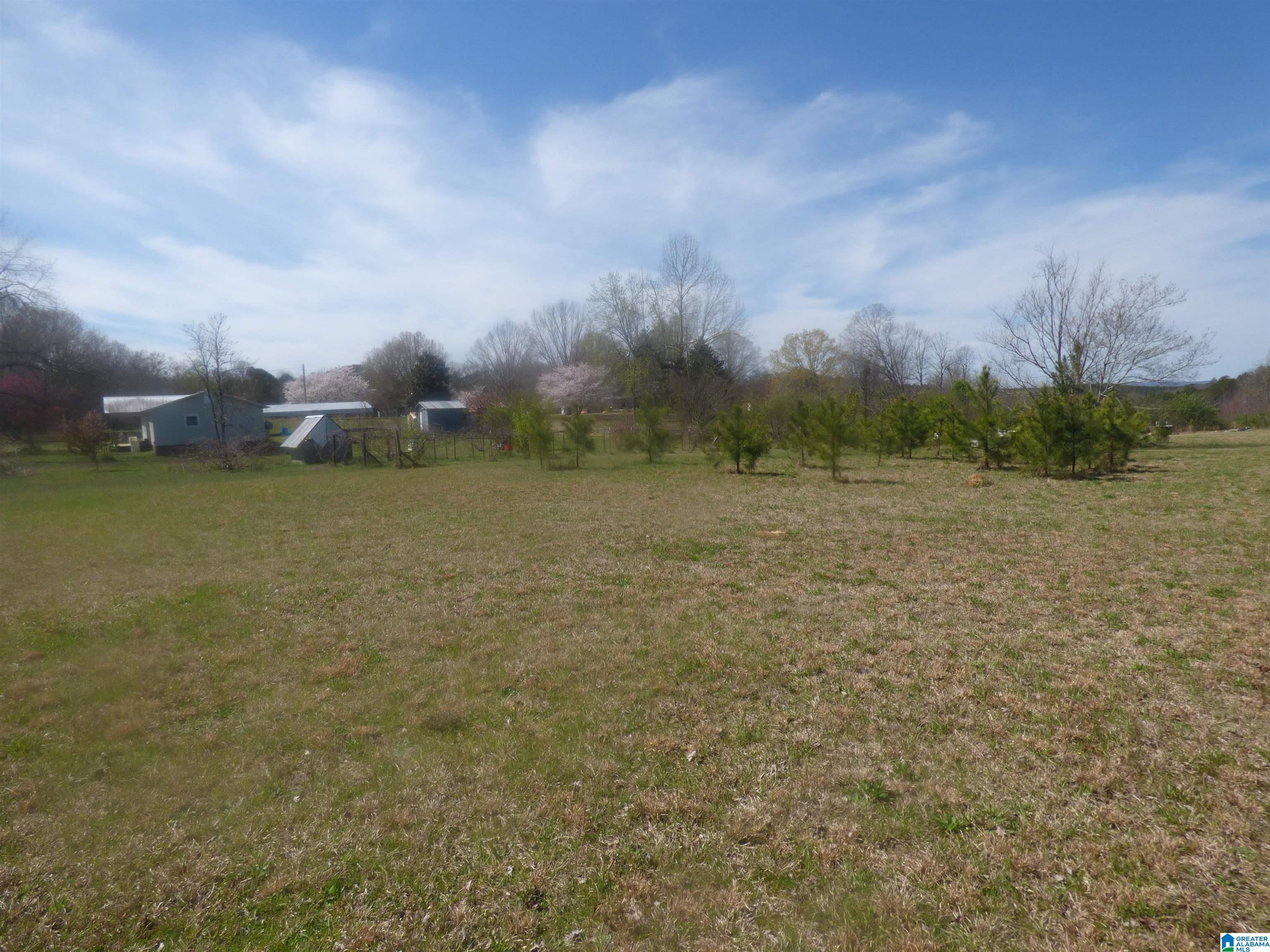 114 Haynes Road Altoona, AL 35952 - Photo 47 of 49