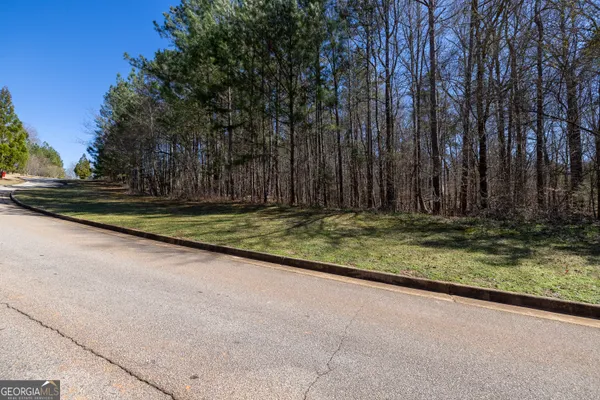 a view of outdoor space with lots of trees
