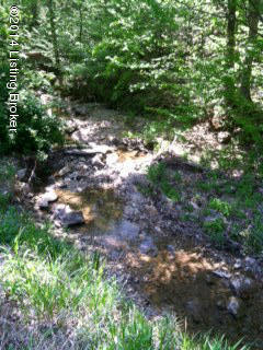 52 Blain Cannon Road Falls Of Rough, KY 40119 - Photo 3 of 7 Creek