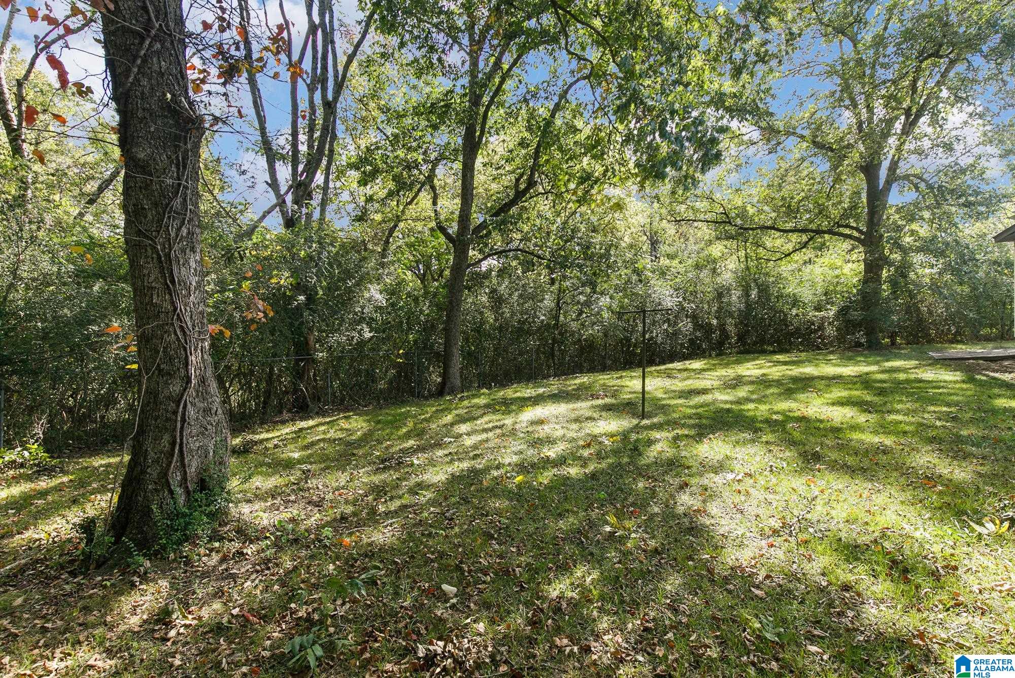 2324 Treadwell Road Birmingham, AL 35217 - Photo 17 of 20