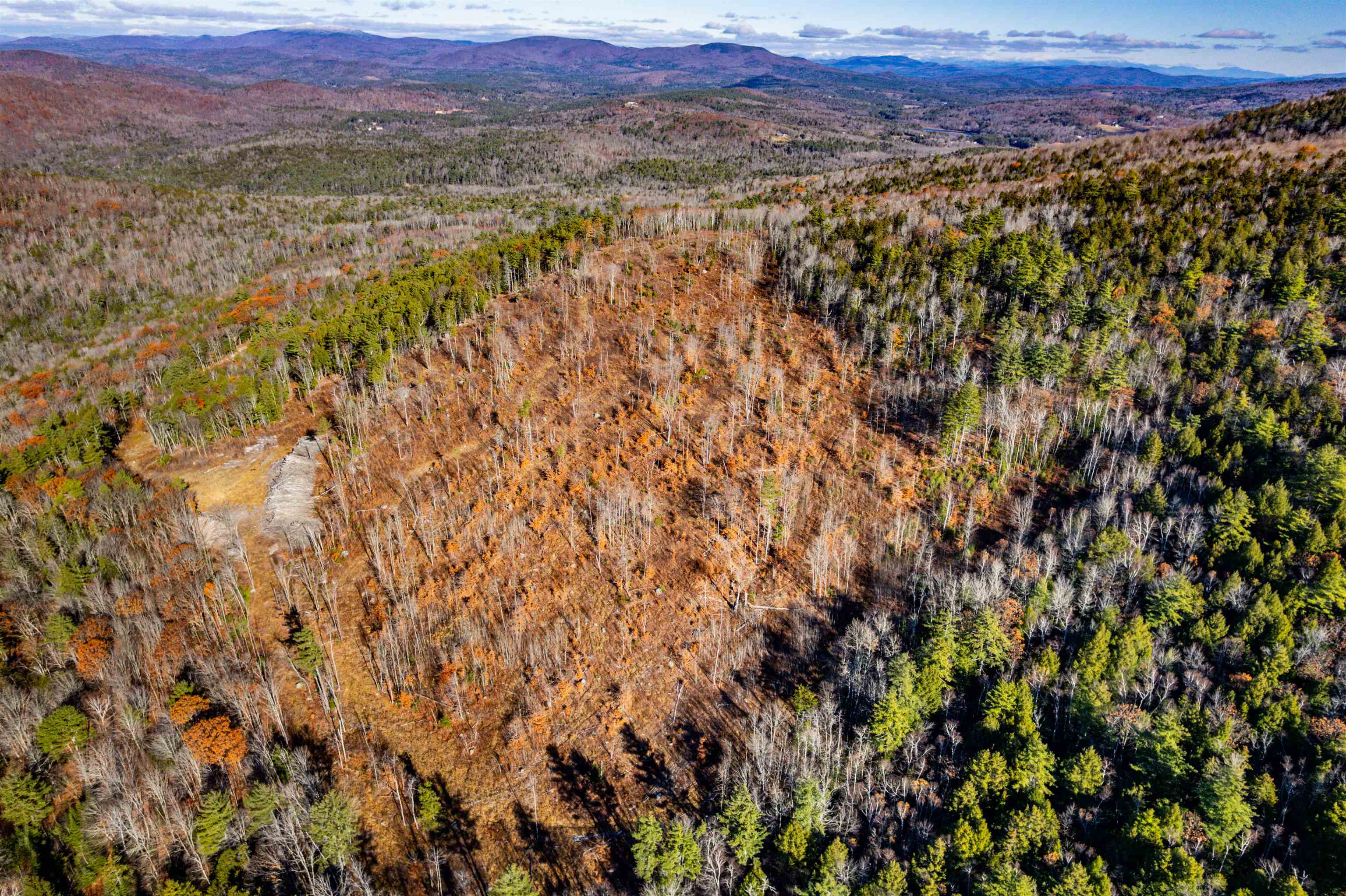 375 New Canada Road Danbury, NH 03230 - Photo 11 of 14