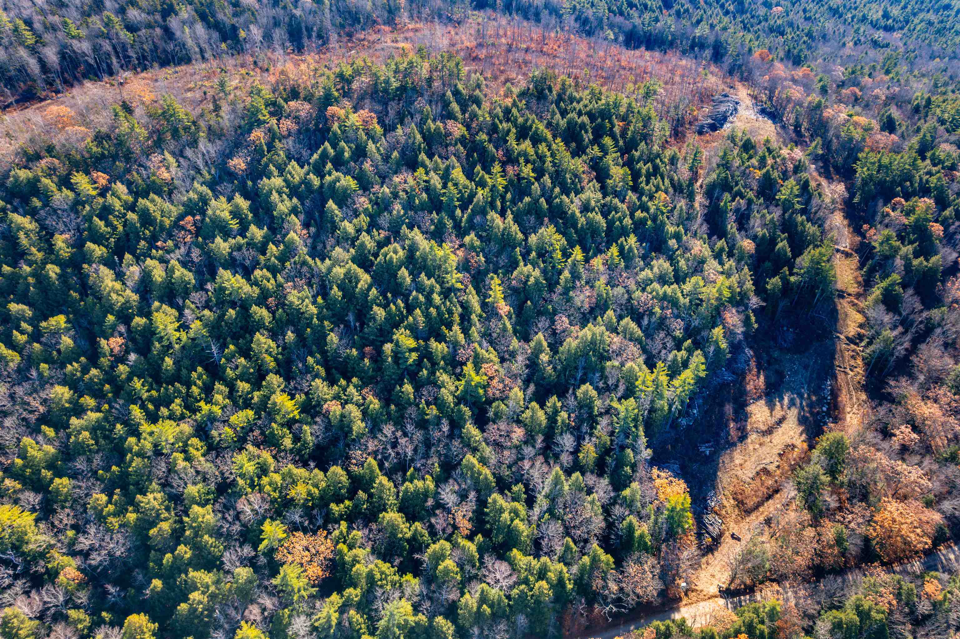 375 New Canada Road Danbury, NH 03230 - Photo 14 of 14