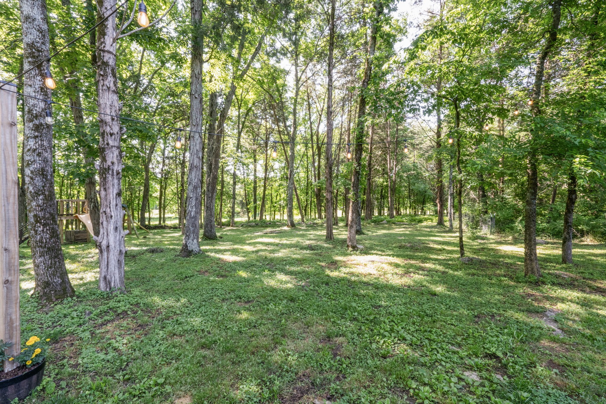 4801 Lunns Store Road Chapel Hill, TN 37034 - Photo 34 of 38 Gallery Image 34