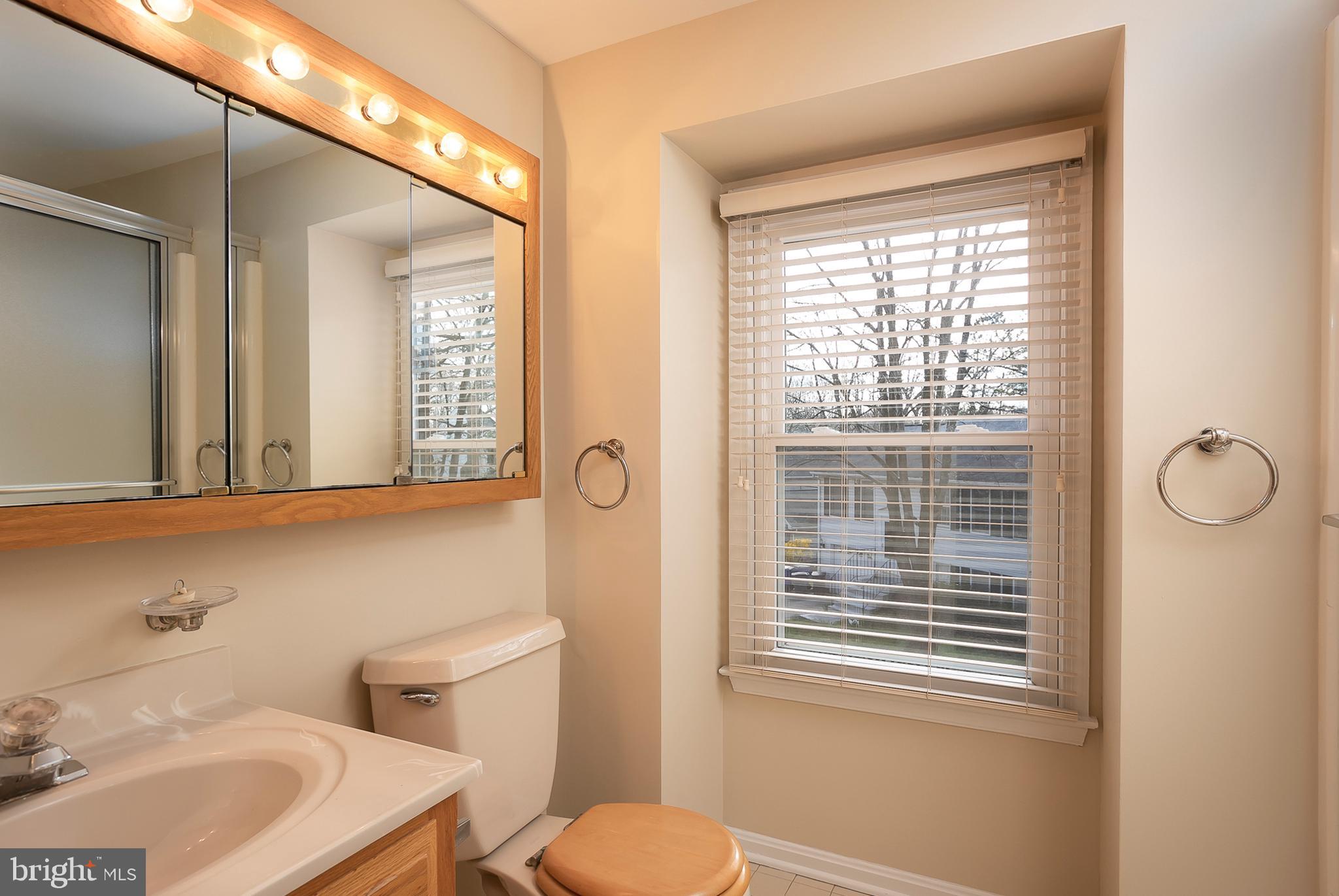6239 Plaited Reed Columbia, MD 21044 - Photo 21 of 36 Master Bathroom