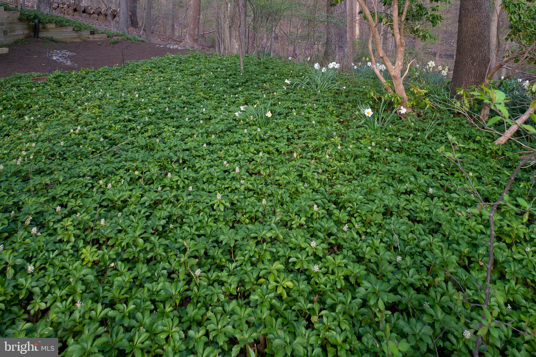 6239 Plaited Reed Columbia, MD 21044 - Photo 32 of 36 Perennial Gardens