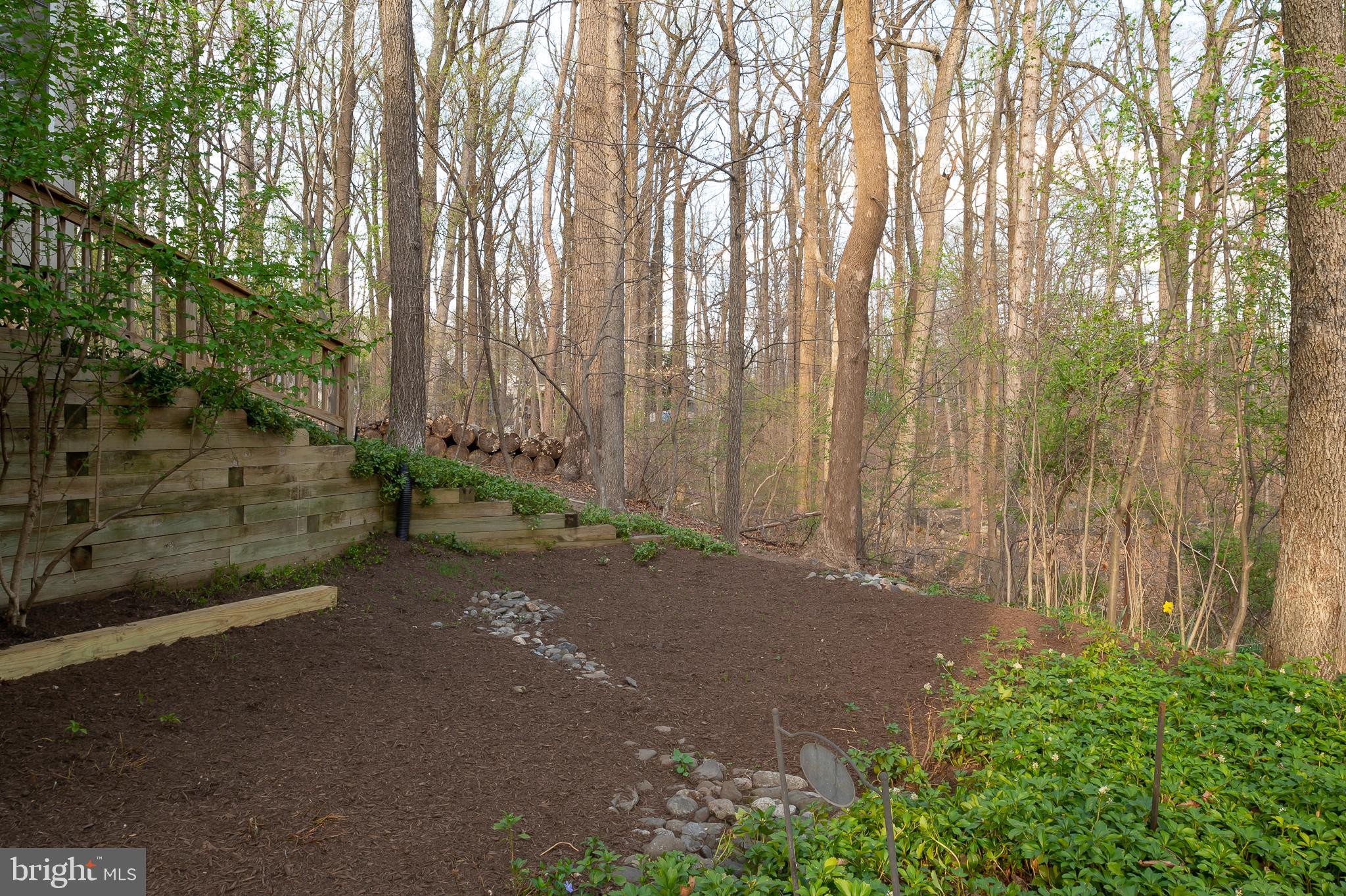 6239 Plaited Reed Columbia, MD 21044 - Photo 33 of 36 Rain Garden