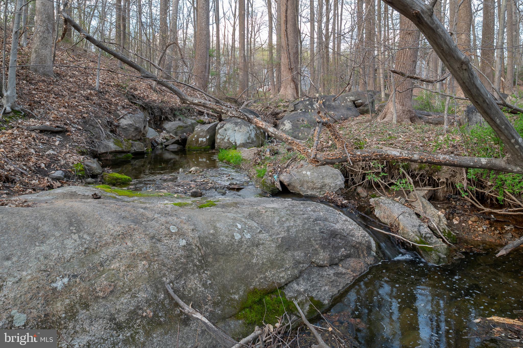 6239 Plaited Reed Columbia, MD 21044 - Photo 34 of 36 Stream in Back of Lot