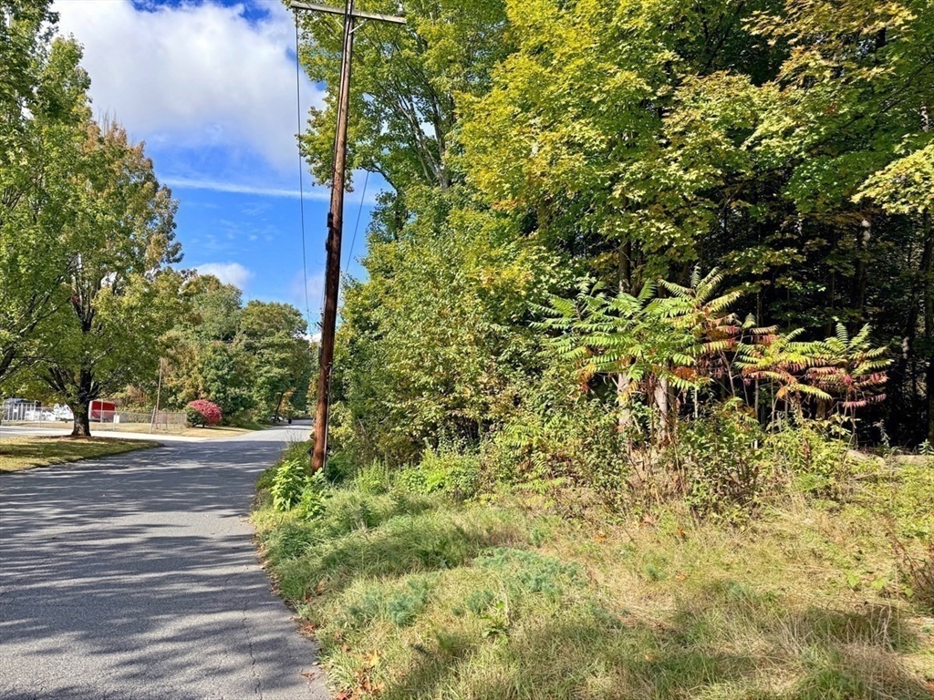 171 Cleveland Street Greenfield, MA 01301 - Photo 4 of 9 a view of a yard