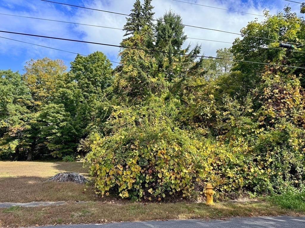 171 Cleveland Street Greenfield, MA 01301 - Photo 7 of 9 a view of a yard
