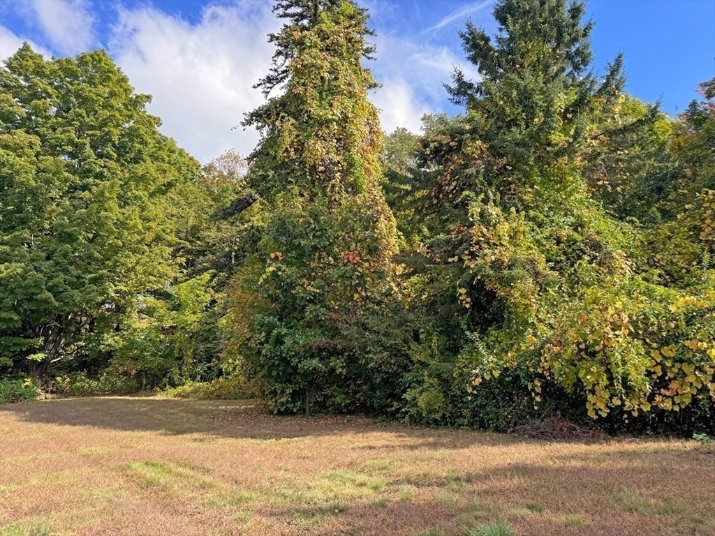 171 Cleveland Street Greenfield, MA 01301 - Photo 8 of 9